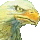 Avatar użytkownika