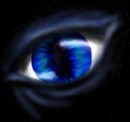 Avatar użytkownika